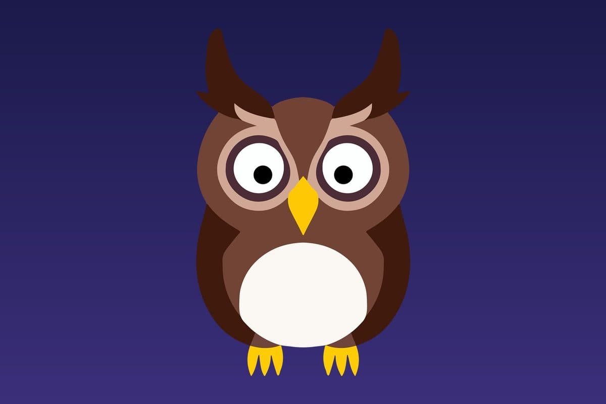 The Grumpy Owl Who Envied Daytime