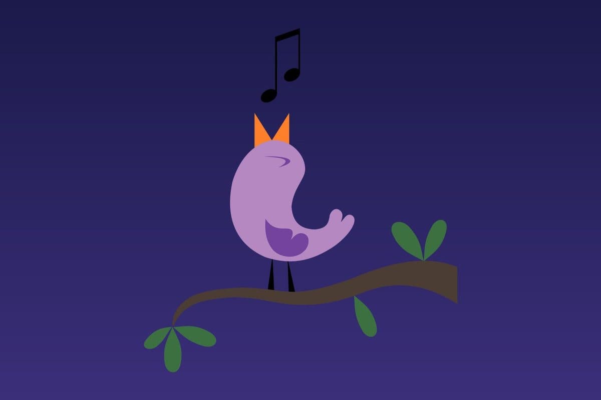 The Last Song of the Day