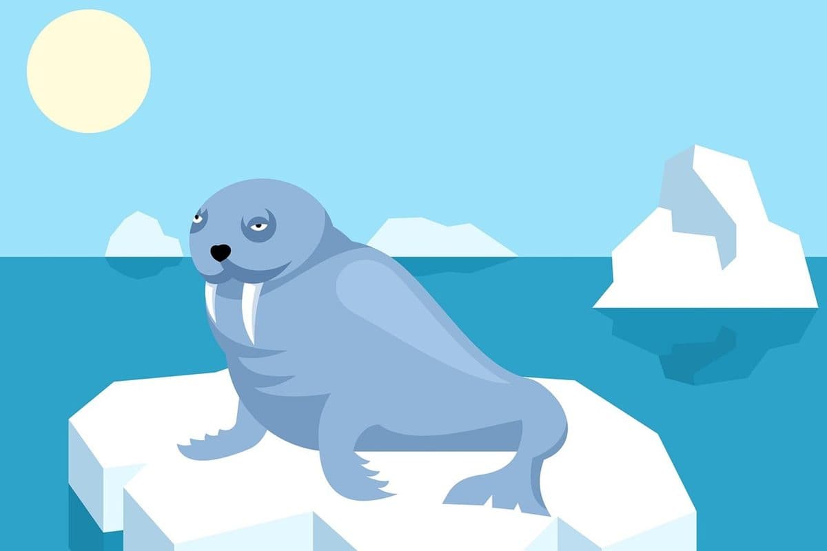 The Glacier That Remembered Every Winter